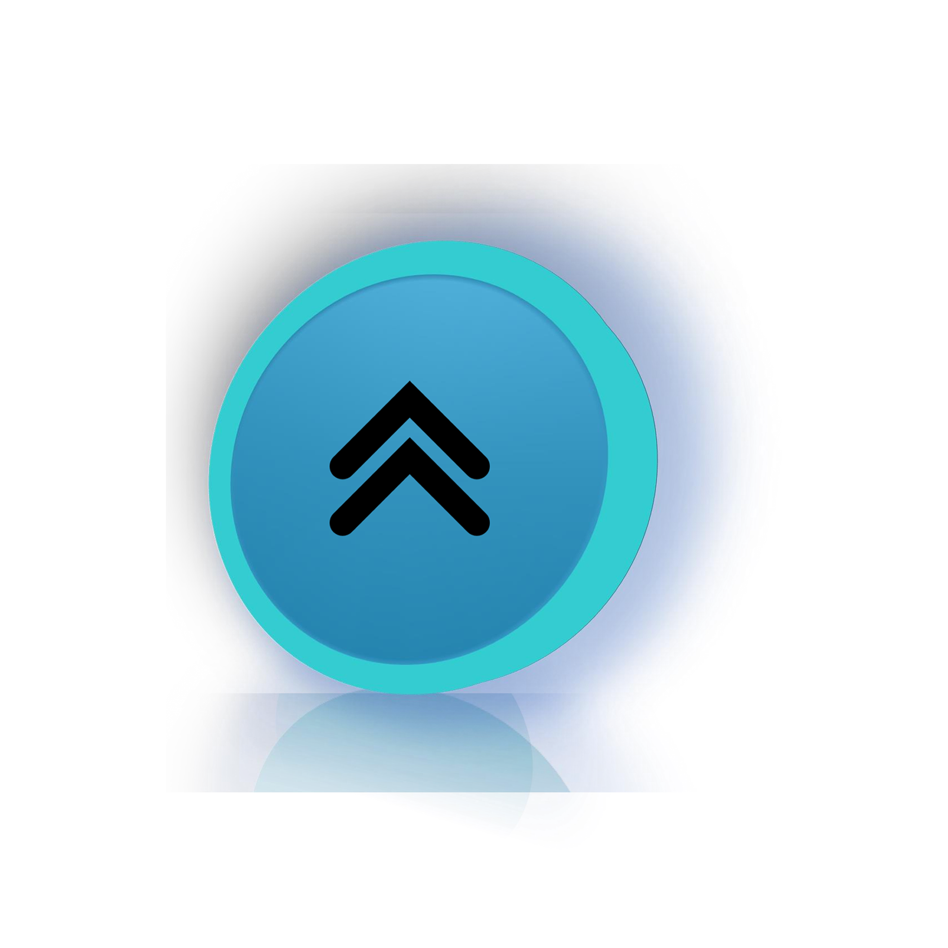 Scroll to Top